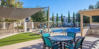 Port Royale Gallery 11