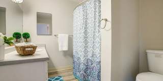 Bella Vista Gallery 5