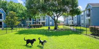College View Apartments Gallery 46