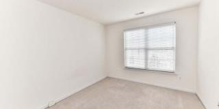 21759 LADYSLIPPER Square Gallery 15