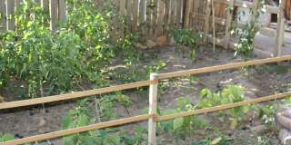 938 800 E Gallery 12