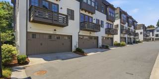 End-Unit Townhome with Private Rooftop Terrace in Myers Park!! Gallery 62