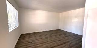 302 Dumont Ave Gallery 7