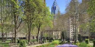 1903 SPRUCE Street Gallery 3