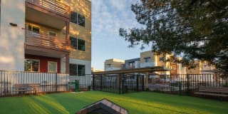 Aurora Apartments Gallery 6