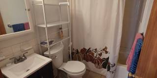 Allston 1-Bedroom with Included Utilities and Open Layout Gallery 6