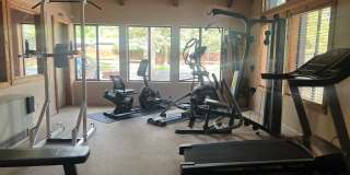 Updated Townhouse backed by National Forest Gallery 41