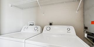 The Ellis Gallery 40