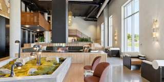 Esox House Gallery 21