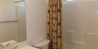 3 Bedroom - 2 Bath Pool Home Gallery 10