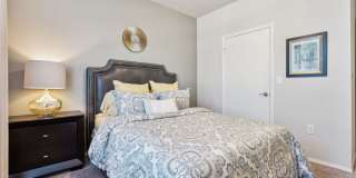 Vista Lake Ned Gallery 41