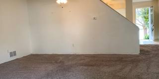 1723 Dove Creek Circle Gallery 4