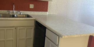 3107 ISLA VERDE Circle Gallery 6