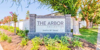 Arbor Collection Gallery 4