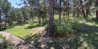 2247 Conservatory Pt Gallery 15