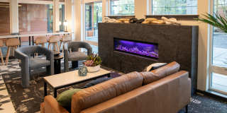 Morado Bothell Gallery 20