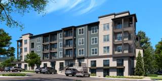 Birch House Gallery 1