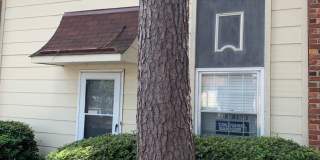 Southside-Near Oglethorpe Mall & South College Gallery 1