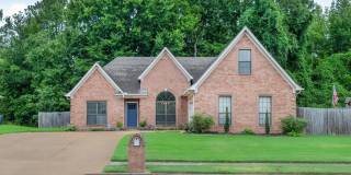 4905 SPRINGTREE Dr Gallery 1