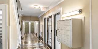 24 Springfield Avenue Gallery 25