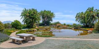 Tuscan Dream Villa in Summerland — Ocean Views, Orchard Serenity, Fully Furnished Retreat Gallery 31