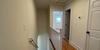 65 Lester Street Gallery 16