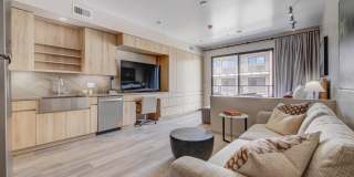 Sanctuary Gallery 10