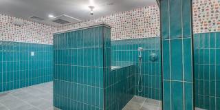 Alta Sloans Lake Gallery 18