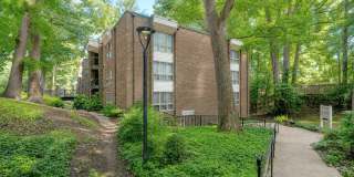 The Forest Apartments Gallery 33