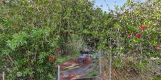 2369 Le Conte Avenue Gallery 12