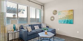 Olive Queen Creek Gallery 6