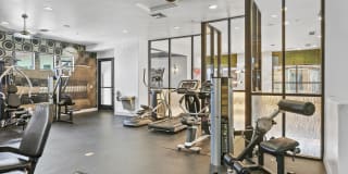 The Urban Gallery 16