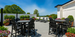 Friendly Gardens Gallery 22