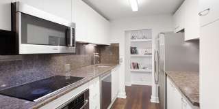 110 East Delaware Place Gallery 18
