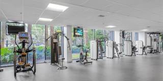 540 Brickell Key Dr UNIT 500 (A11959509) Gallery 24