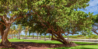 Flamingo Point Gallery 47