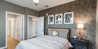 Array La Mesa Gallery 25