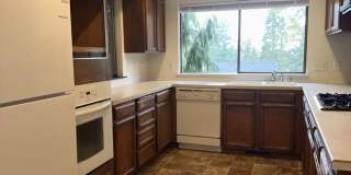 Pre-Leasing Now! 7 Bed 3 Bath with Bonus Room! Gallery 3