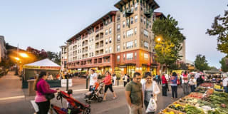 Rafael Town Center Gallery 1