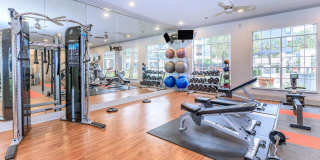 City Park in the Heights Gallery 4