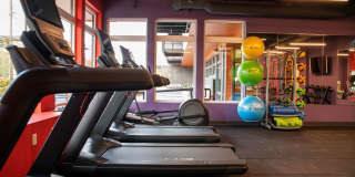 Morado Bothell Gallery 25