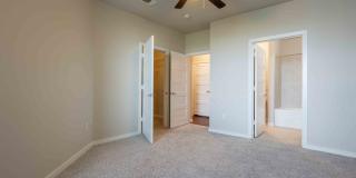 Tree Apartments Gallery 16