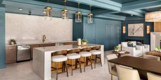 The Canopy Gallery 29