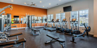 Walker Steele Creek Gallery 13