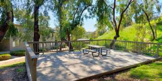 Lantana Hills Apartment Homes Gallery 20