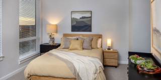 The 305, a Broadstone Community Gallery 28