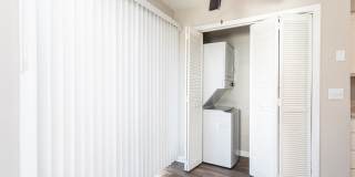 Rosen at North Hills Gallery 27