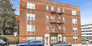 1 Ash place unit: 1M Gallery 1