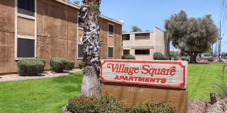 Village Square Gallery 11