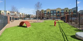 Harvest Station Gallery 13